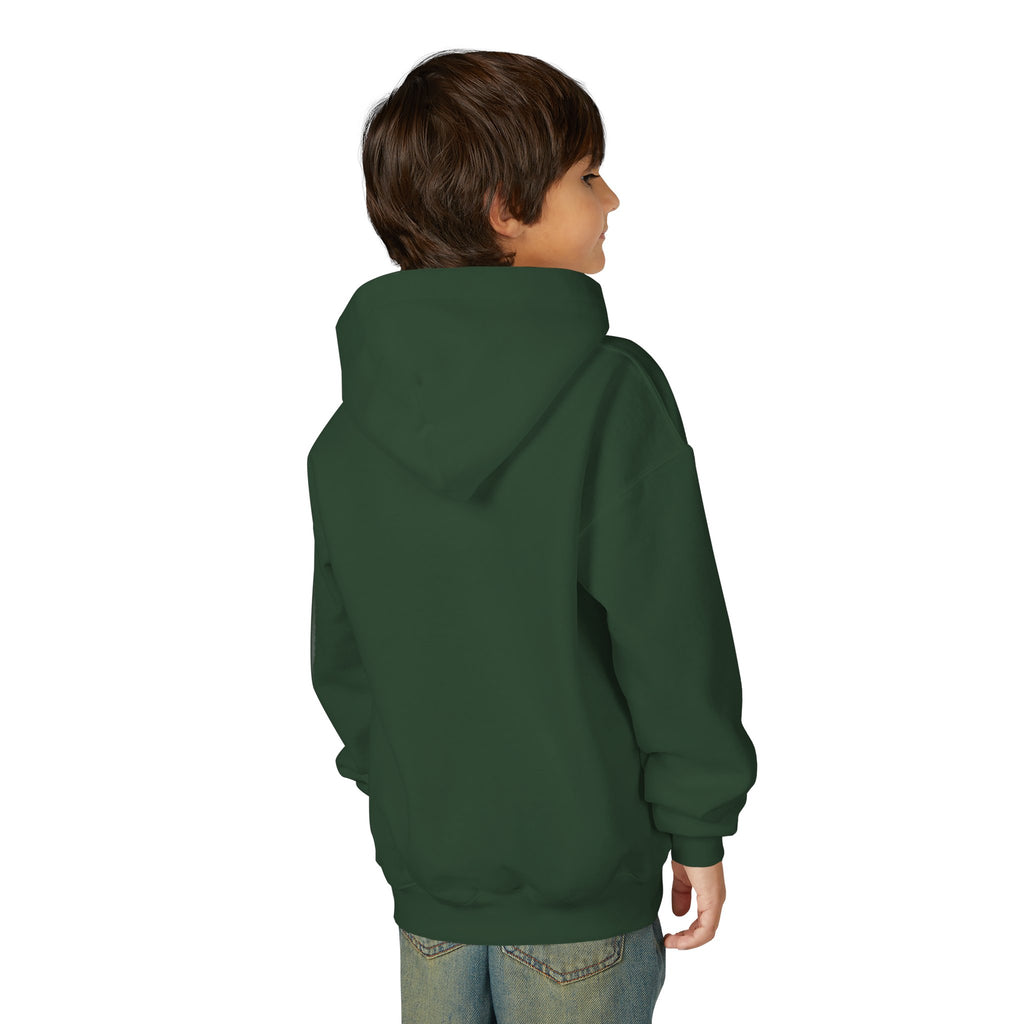 Dream Circuit Youth Hooded Sweatshirt - Tech Vibe Apparel, Perfect for Teens, Gift for Gamers, Unisex, Comfortable & Stylish