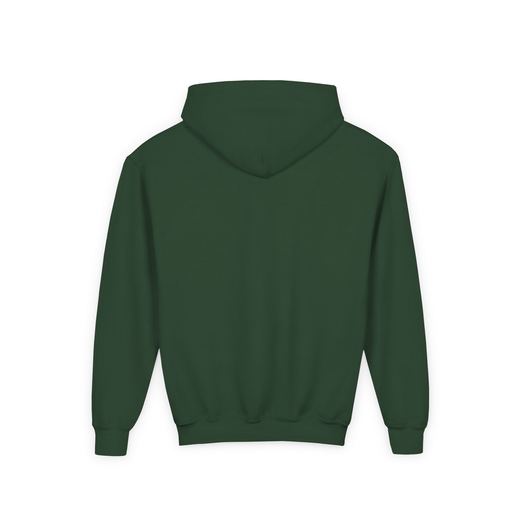 Dream Circuit Youth Hooded Sweatshirt - Tech Vibe Apparel, Perfect for Teens, Gift for Gamers, Unisex, Comfortable & Stylish