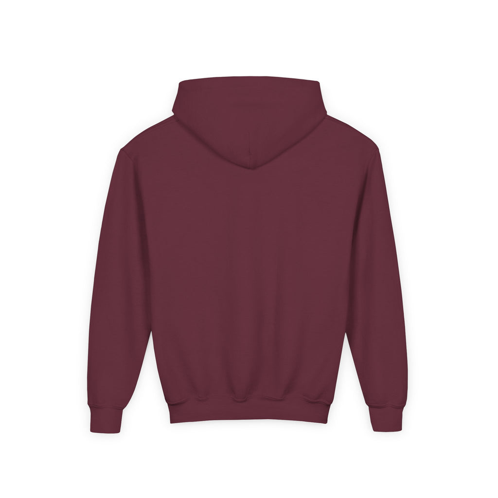 Dream Circuit Youth Hooded Sweatshirt - Tech Vibe Apparel, Perfect for Teens, Gift for Gamers, Unisex, Comfortable & Stylish