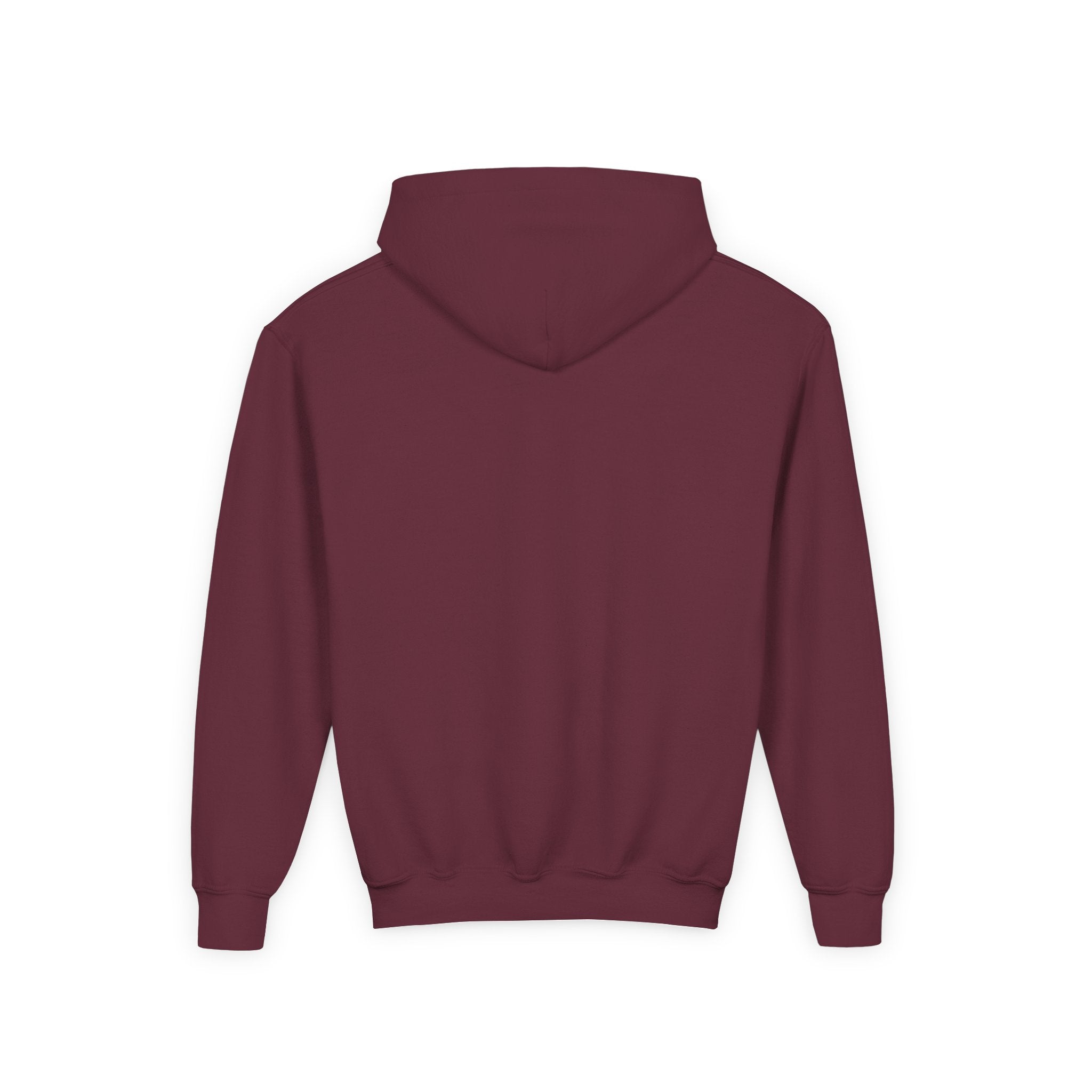 Dream Circuit Youth Hooded Sweatshirt - Tech Vibe Apparel, Perfect for Teens, Gift for Gamers, Unisex, Comfortable & Stylish
