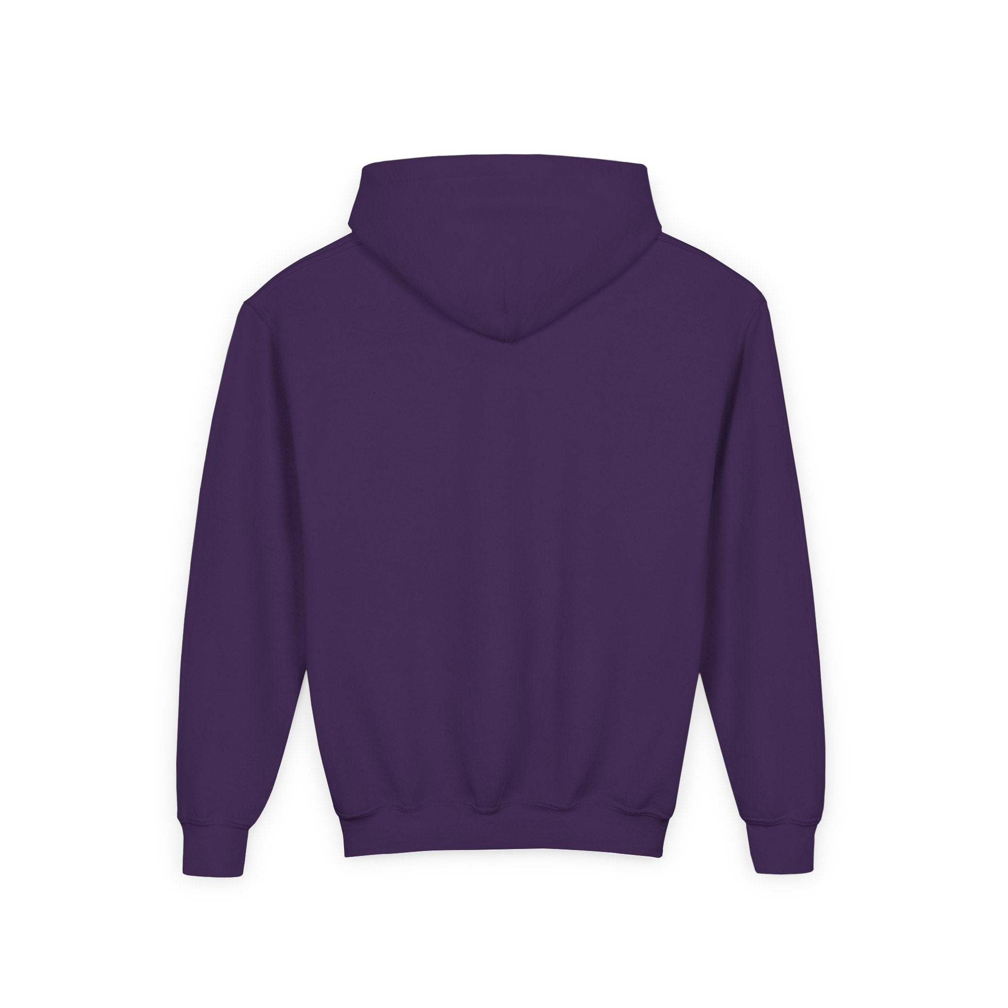 Dream Circuit Youth Hooded Sweatshirt - Tech Vibe Apparel, Perfect for Teens, Gift for Gamers, Unisex, Comfortable & Stylish