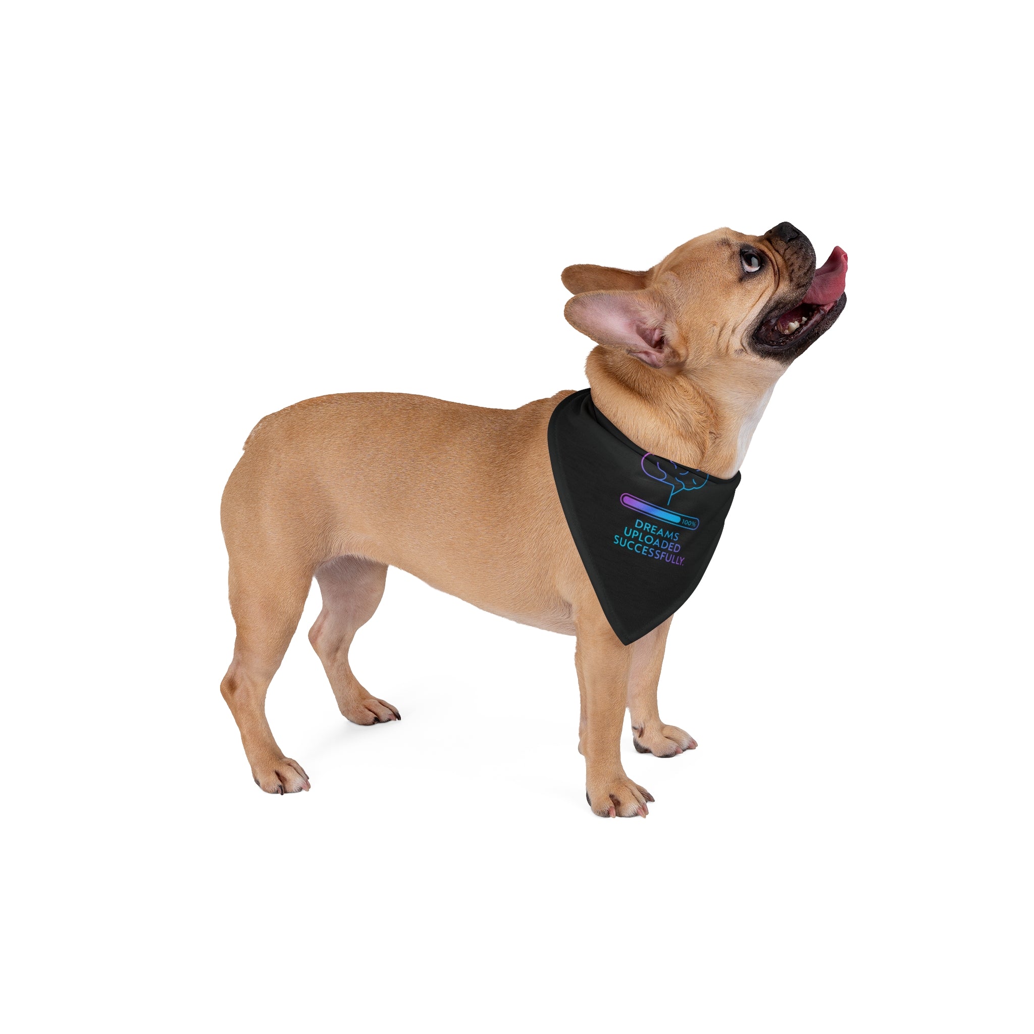Dreams Uploaded Pet Bandana | Stylish Dog Accessory, Gift for Dog Lovers, Pet Fashion, Cute Puppy Bandana, Unique Pet Gift, Adjustable [...]
