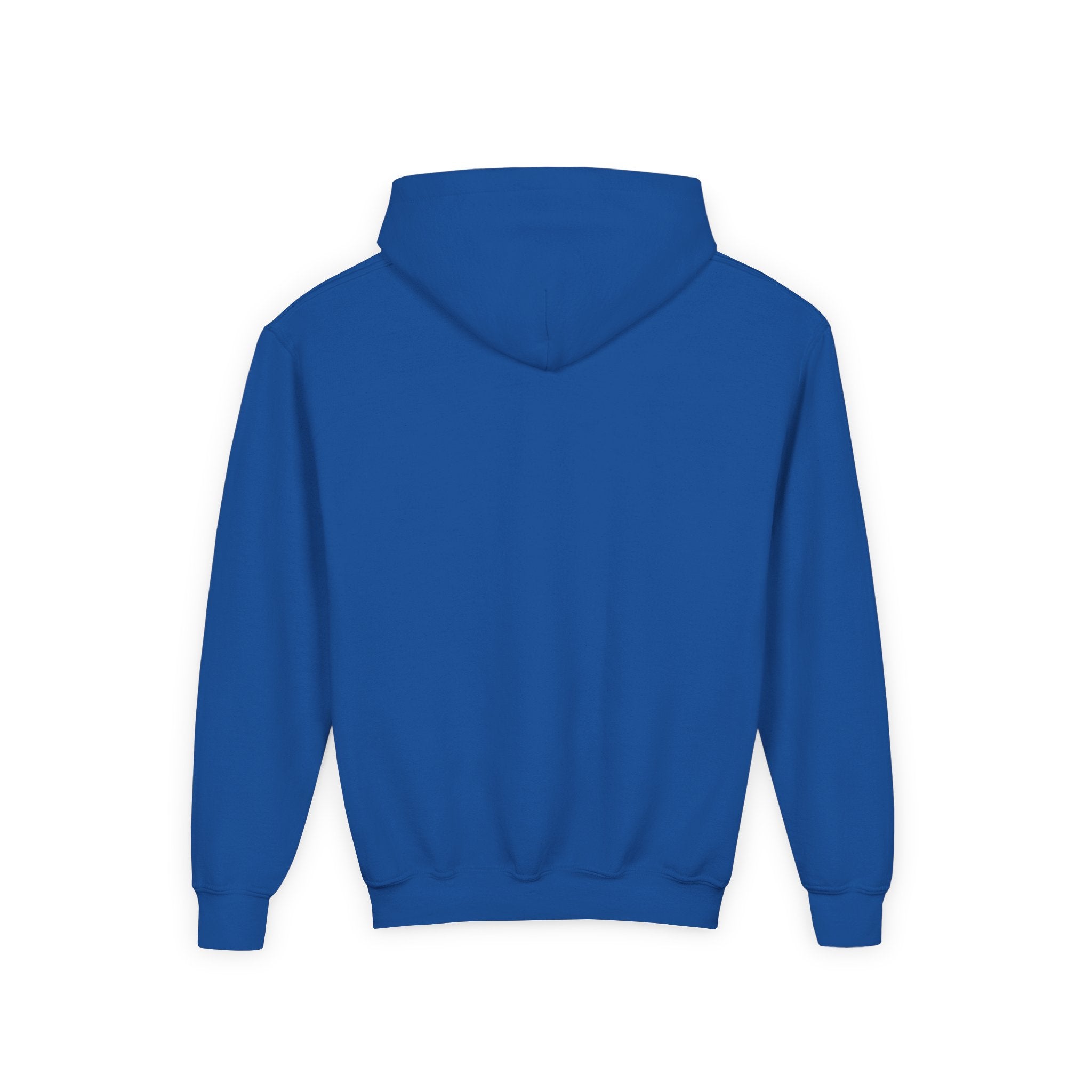 Dream Circuit Youth Hooded Sweatshirt - Tech Vibe Apparel, Perfect for Teens, Gift for Gamers, Unisex, Comfortable & Stylish